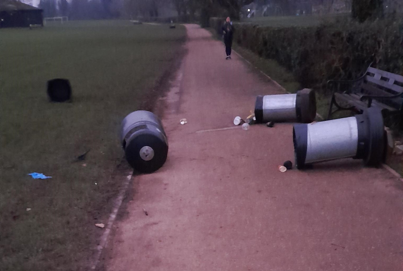 Verulamium Park: Bins damaged in 'upsetting' vandalism